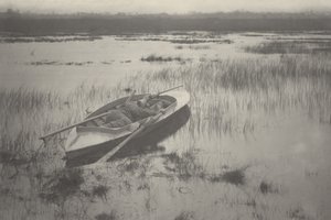 Tüzér dolgozik a szárnyasoknál,1886 (fotó) alkotó: Peter Henry Emerson