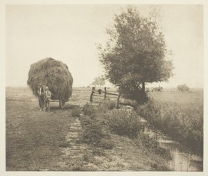 A Hayselben (Norfolk) alkotó: Peter Henry Emerson