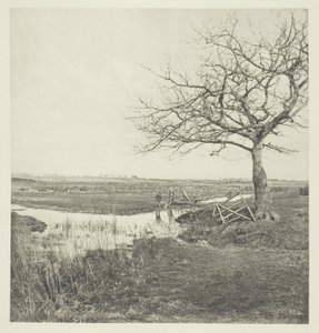 Lombtalan március (Suffolk) alkotó: Peter Henry Emerson