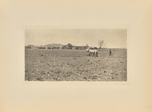 [Marsh Farm kora tavasszal] alkotó: Peter Henry Emerson