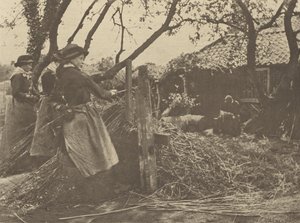 OsierPeeling. [Norfolk]]. alkotó: Peter Henry Emerson