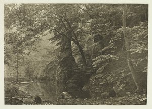 "Pike Pool" (alulról) alkotó: Peter Henry Emerson