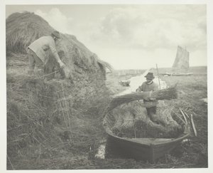 Ricking the Reed alkotó: Peter Henry Emerson