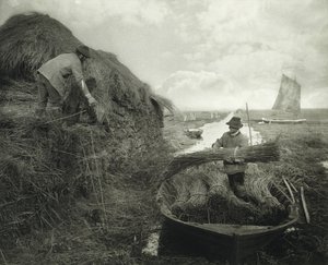 Ricking the Reed, 1885 körül (platina nyomat)