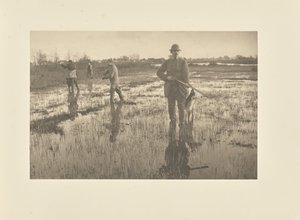  alkotó: Peter Henry Emerson