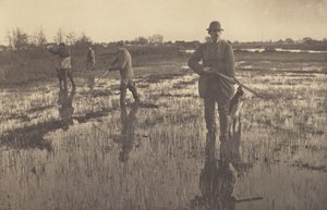  alkotó: Peter Henry Emerson