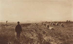 A mocsarak júniusban alkotó: Peter Henry Emerson