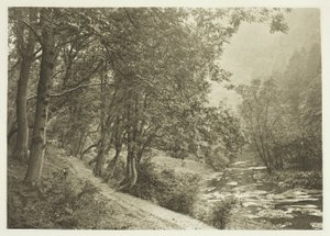 Az ösvény az első Brae fölött, Dove Dale alkotó: Peter Henry Emerson
