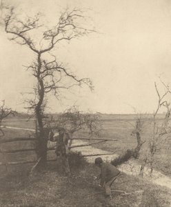 A gallyvágók alkotó: Peter Henry Emerson