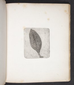 A levél lenyomata alkotó: Peter Larsen Kyhl