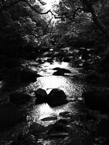 KINTYRE... PLUSZ. 18 alkotó: Peter McClure