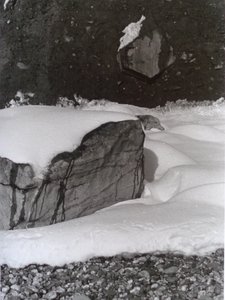 VINTAGE FEKETE-FÉR FOTÓ No.3, 1985, (FOTÓ) alkotó: Peter McClure