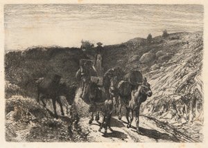Burro vonat, Új-Mexikó