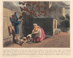 Egy a 6-os készletből (5): Egy szivacs napi naplója alkotó: Peter Pasquin