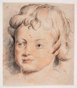 Gyermekfej alkotó: Peter Paul Rubens