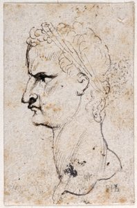 Gaius Caligula, az első tizenkét Caesar közül nyolc tíz rajzából, Giovanni da Cavino érmei után (toll és tinta papíron) alkotó: Peter Paul Rubens