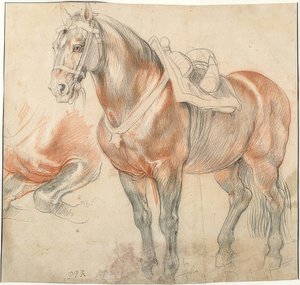 Nyerges ló. 1615-18 körül alkotó: Peter Paul Rubens
