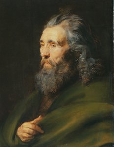 Fejtanulmány egy szakállas férfiról, 1617 körül alkotó: Peter Paul Rubens