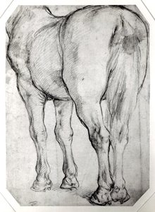 A ló hátsó része alkotó: Peter Paul Rubens
