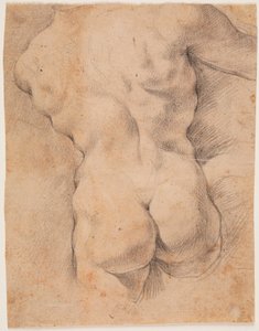 Hátulról látható férfitorzó alkotó: Peter Paul Rubens