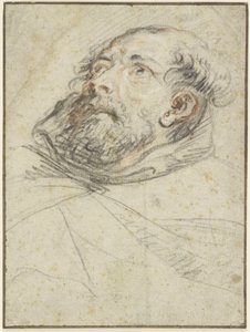Felfelé tekintő szerzetes (Exemplum doloris) alkotó: Peter Paul Rubens