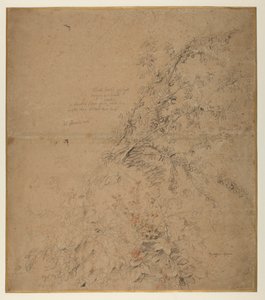 Vizsgálat a kökényről kalászossal és más növényekkel, 1620 körül alkotó: Peter Paul Rubens