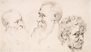 Három férfifej alkotó: Peter Paul Rubens