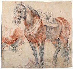 ""egy nyerges ló"" Pieter Paul Rubens (1577-1640) akvarellje, kb. 1616-1618 Bécsi Bibliotheque albertina alkotó: Peter Paul Rubens