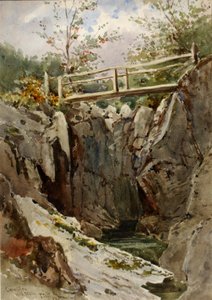 Curmillon, Közép-Wales, 1884. alkotó: Peter Toft