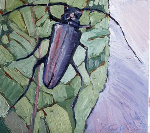 Pézsmabogár alkotó: Peter Wilson