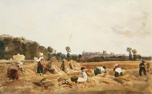 PD.129-1950 Cornfield, Windsor alkotó: Peter de Wint