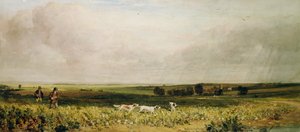 Partridge Shooting alkotó: Peter de Wint