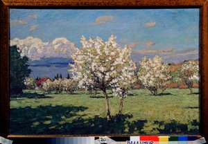 Cseresznyevirágok. Pjotr ​​Ivanovics Petrovicsov (Pjotr ​​Petrovicsov) (1874-1947) festménye, olaj, vászon