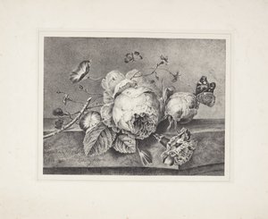 Virágcsendélet alkotó: Petronella van Woensel