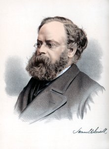 Samuel Plimsoll brit politikus és társadalmi reformer, 1890.