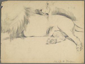 Oroszlántanulmányok (grafit papíron) alkotó: Philip H. Wolfrom