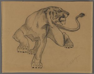 Tigris (kontúrkréta papírra)
