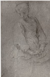 Domenichino, bánat alkotó: Philip Henry Delamotte