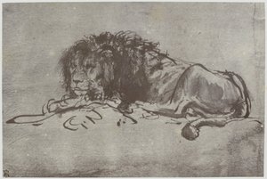 Rembrandt, egy oroszlán