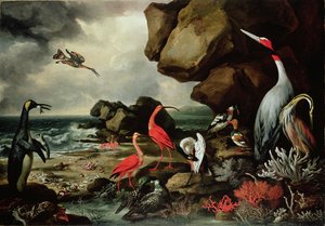 Egy pingvin, egy pár flamingó és más egzotikus madarak, kagylók és korallok a parton alkotó: Philip Reinagle