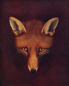 Renard, a róka, c1800, 1922