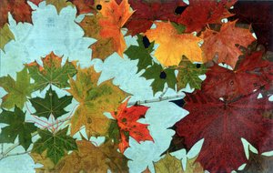 Autumn Leaves, Philippe Robert, Robert Ried kiadások
