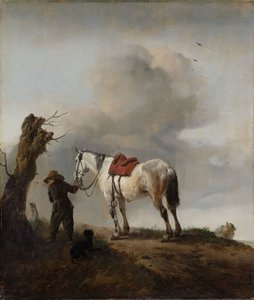 A szürke ló, 1646 körül