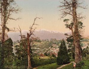 Darjeeling. Kinchinjunga és a havas a Beechwood Parkból