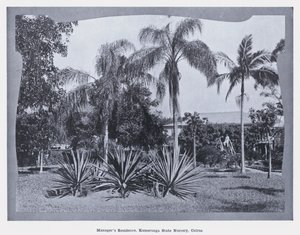 Vezetői rezidencia, Kamerunga State Nursery, Cairns (f/w fotó) alkotó: Photographer Australian
