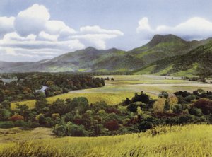 Queensland, Ausztrália: Sugar Lands at Mossman (fotó) alkotó: Photographer Australian