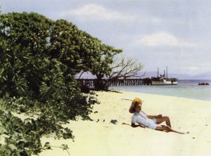 Queensland, Ausztrália: The Tropical Beach (fotó) alkotó: Photographer Australian