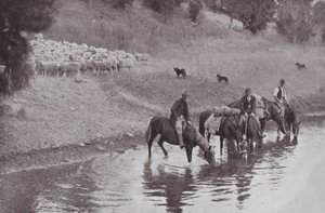 A többi, tipikus ausztrál Stockmen (f/w fotó) alkotó: Photographer Australian