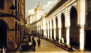 djima al-kabir közjegyzői bájital (fotó)
