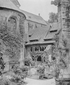 Tausendjahriger Rosenstock (f/w fotó) alkotó: Photographer German
